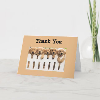 Golden Retrievers Thank You Buddies Card Dankeskarte