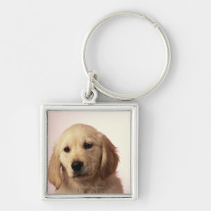 Golden retrieverwelpe schlüsselanhänger