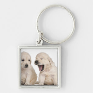 Golden retrieverwelpen (4 Wochen alt) Schlüsselanhänger
