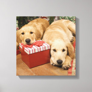 Golden retrieverwelpen mit Weihnachtsgeschenk Leinwanddruck