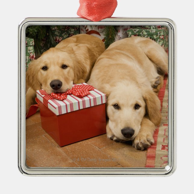 Golden retrieverwelpen mit Weihnachtsgeschenk Ornament Aus Metall (Vorne)
