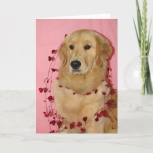 Golden Retriver Valentine's Day Card Karte