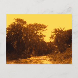 Golden River Gallery Forest Vintage Postkarte