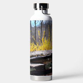 Golden Rod Trinkflasche