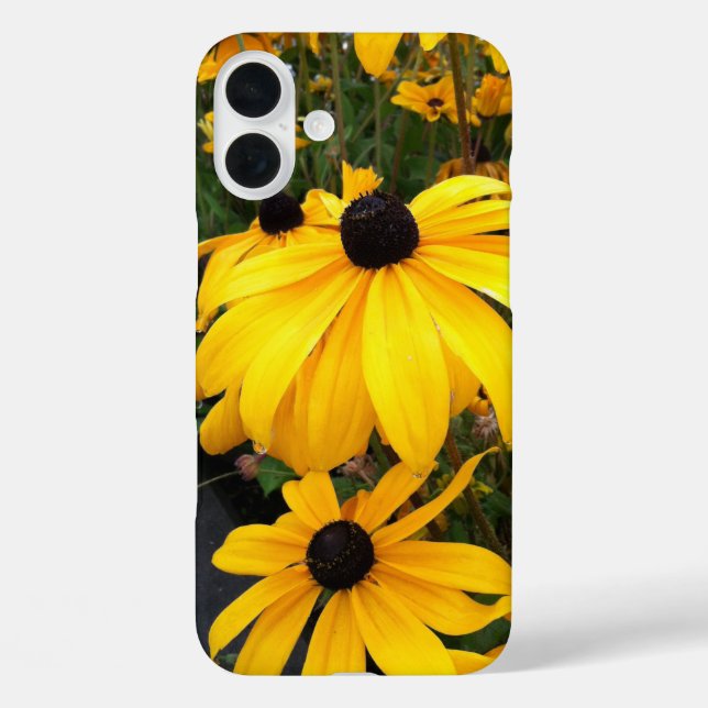 Golden Rudbeckia Black Mit Augen Susan Blume Case-Mate iPhone Hülle (Rückseite)