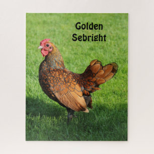 Golden Sebright Hen - Bantam Pet Chicken Puzzle