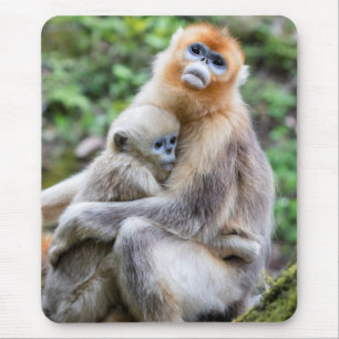 Golden Snub Nosed Monkey mit Baby Mousepad