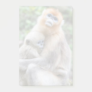 Golden Snub Nosed Monkey mit Baby Post-it Klebezettel