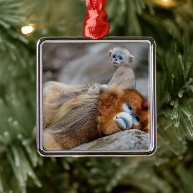 Golden Snub-nosed Monkey Vater mit Baby Ornament Aus Metall (Baum)
