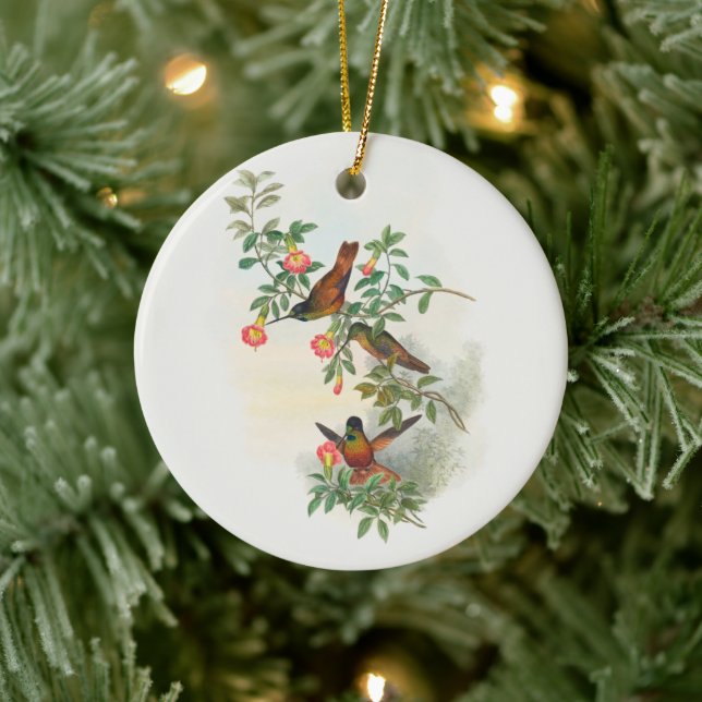 Golden Star-Frontlet, Baum Keramik Ornament (Baum)