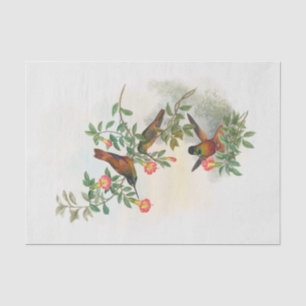 Golden Star frontlet, Decoupage Seidenpapier