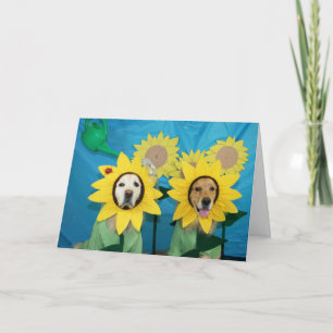 Golden Sunflower Herzlichen Glückwunsch Karte