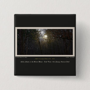 Golden Sunrise Winter Forest Centennial Ed Button