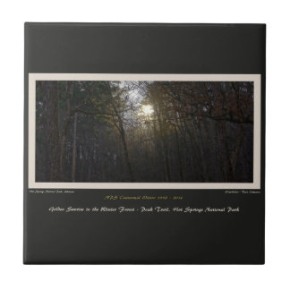 Golden Sunrise Winter Forest Centennial Ed Fliese