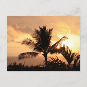 Golden Sunset Tropical Postcard Postkarte
