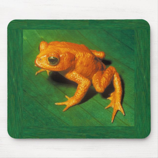 Golden Toad Mousepad (Vorne)