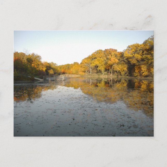 Golden Trees and Pond ... Mein Foto vom Herbst 200 Postkarte (Vorderseite)