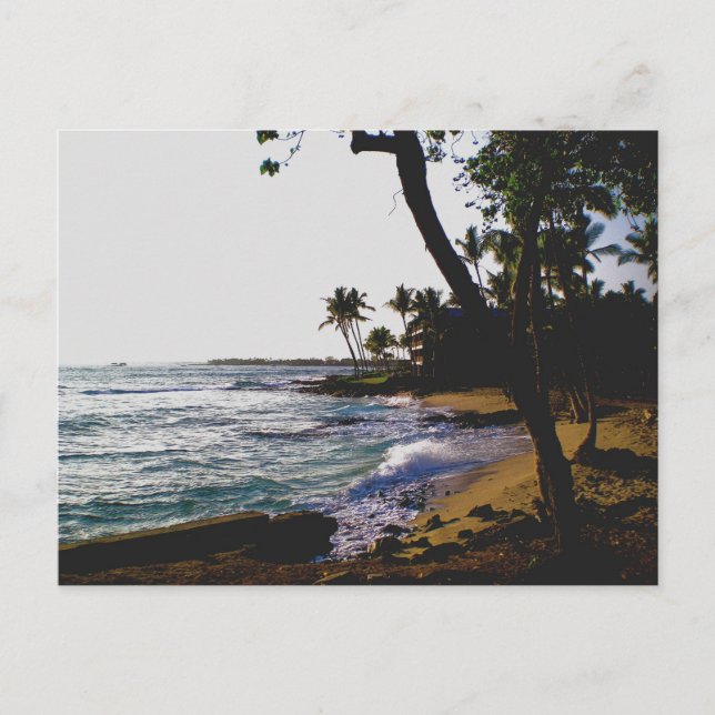 Golden Tropical Sand Postkarte (Vorderseite)