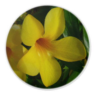 Golden Trumpet Blume II Tropical Keramikknauf