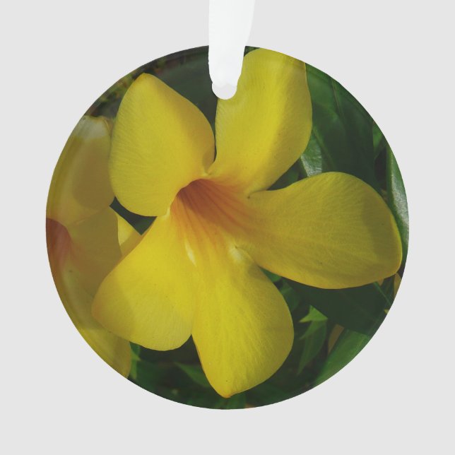 Golden Trumpet Blume II Tropical Ornament (Vorderseite)