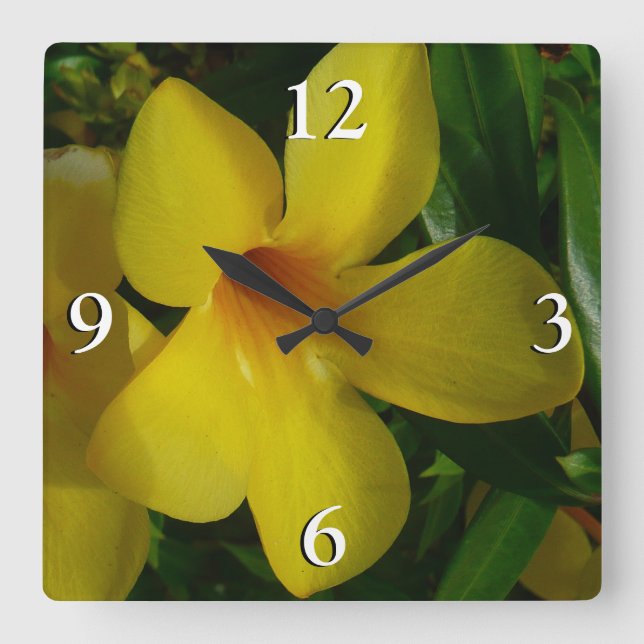 Golden Trumpet Blume II Tropical Quadratische Wanduhr (Vorderseite)