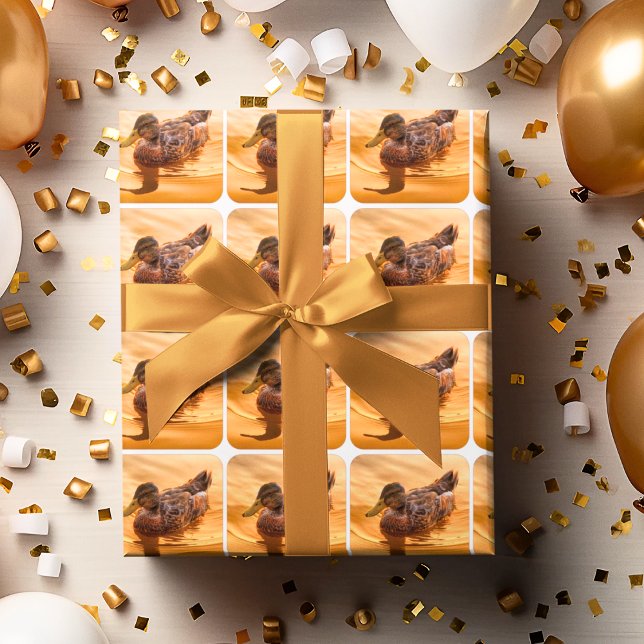 Golden Water Mallard Duck Foto Geschenkpapier (Von Creator hochgeladen)