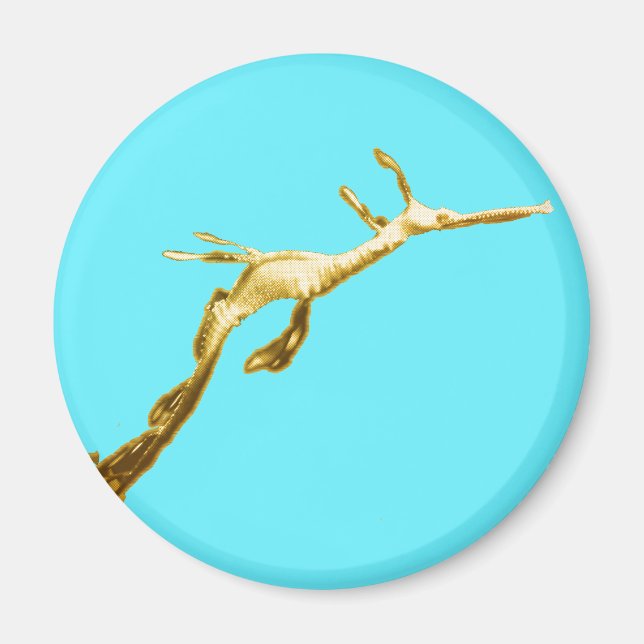 Golden Weedy Sea Dragon Magnet (Vorne)