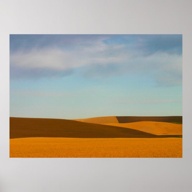 Golden Wheat Fields in Palouse Poster (Vorne)