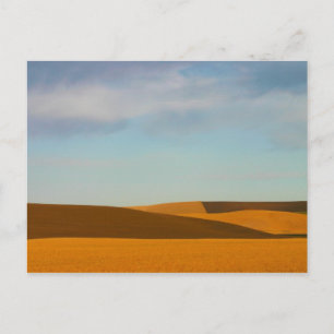 Golden Wheat Fields in Palouse Postkarte