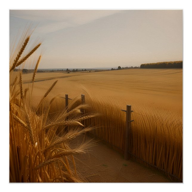 Golden Wheat Path - Rustic Summer Landscape Poster (Vorderseite)
