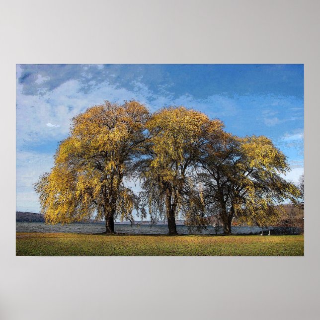 Golden Willows Poster (Vorne)