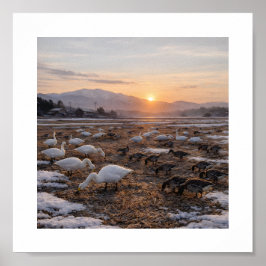 Golden Winter Field with Swans and Geese – Poster
