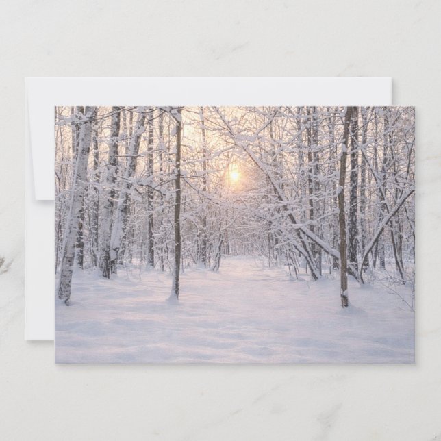 Golden_winter_light Einladung (Vorderseite)