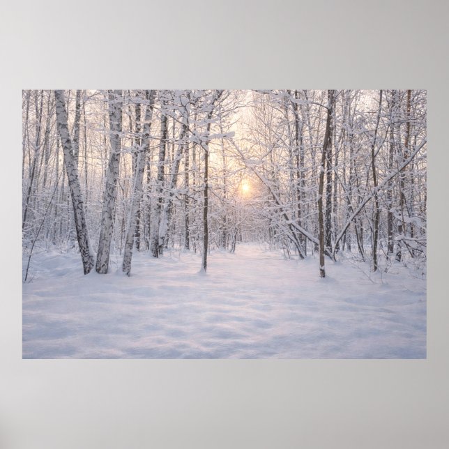 Golden_winter_light Poster (Vorne)