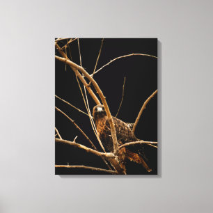 Golden Wrapped Canvas Leinwanddruck