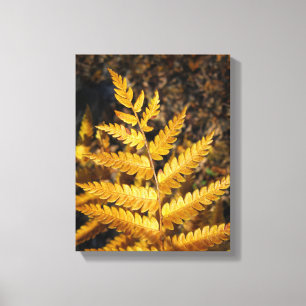 Golden Yellow Fern Herbstlaubs Leinwanddruck