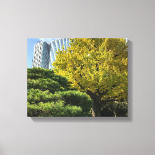 Golden Yellow Ginkgo and Pine Tree Leinwanddruck