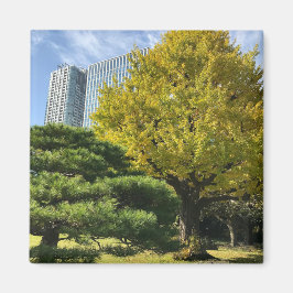 Golden Yellow Ginkgo and Pine Tree Magnet