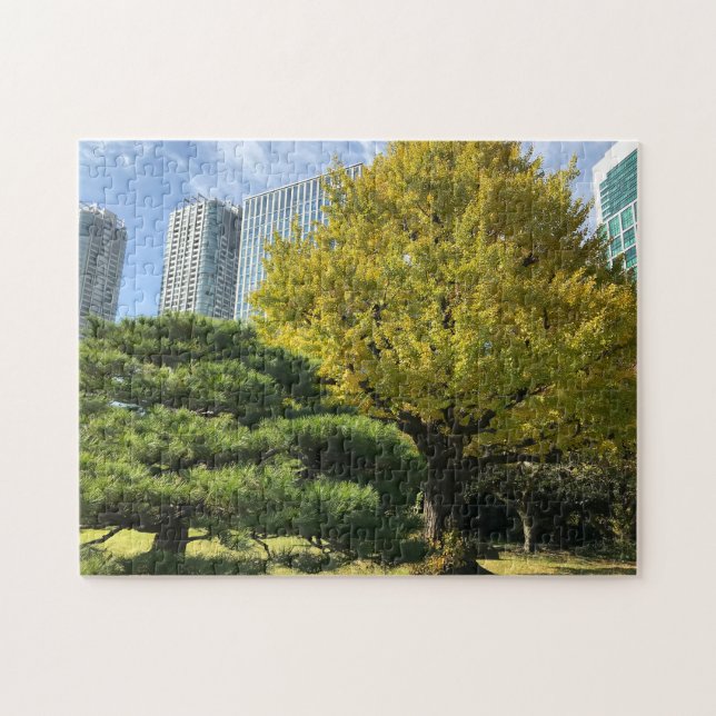 Golden Yellow Ginkgo and Pine Tree Puzzle (Horizontal)