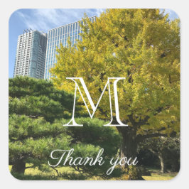 Golden Yellow Ginkgo and Pine Tree Quadratischer Aufkleber