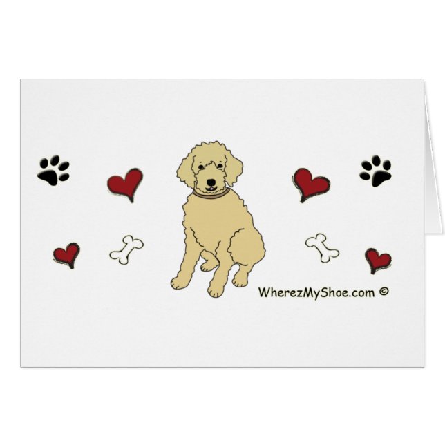 Goldendoodle (Vorderseite (Horizontal))