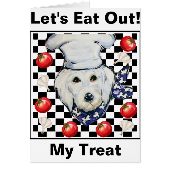 Goldendoodle (Vorne)