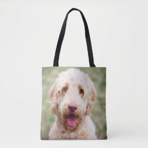 Goldendoodle