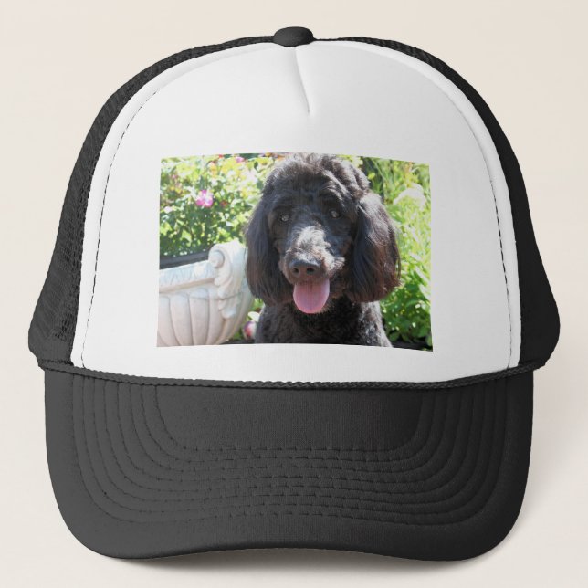 GoldenDoodle Abby 1 Truckerkappe (Vorderseite)
