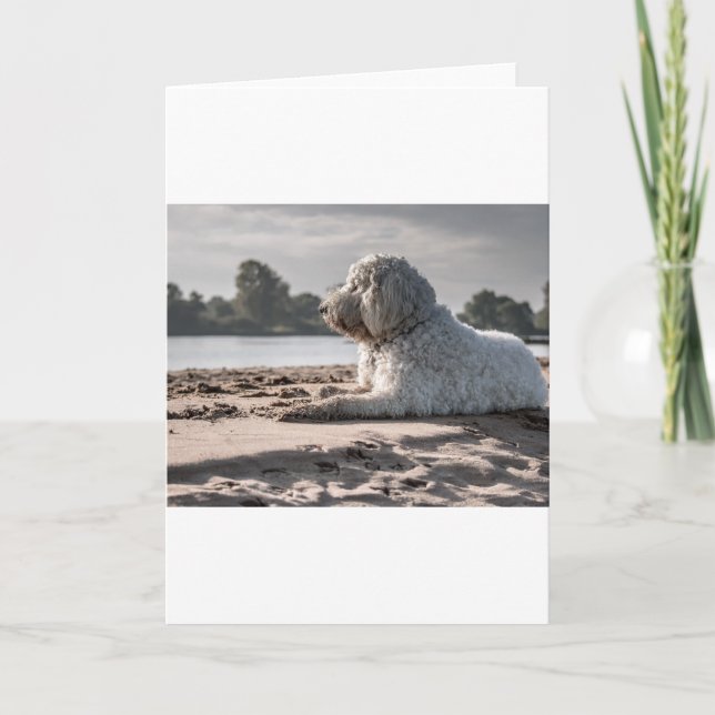 Goldendoodle am Strand Karte (Vorderseite)