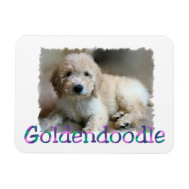 Goldendoodle Art Magnet