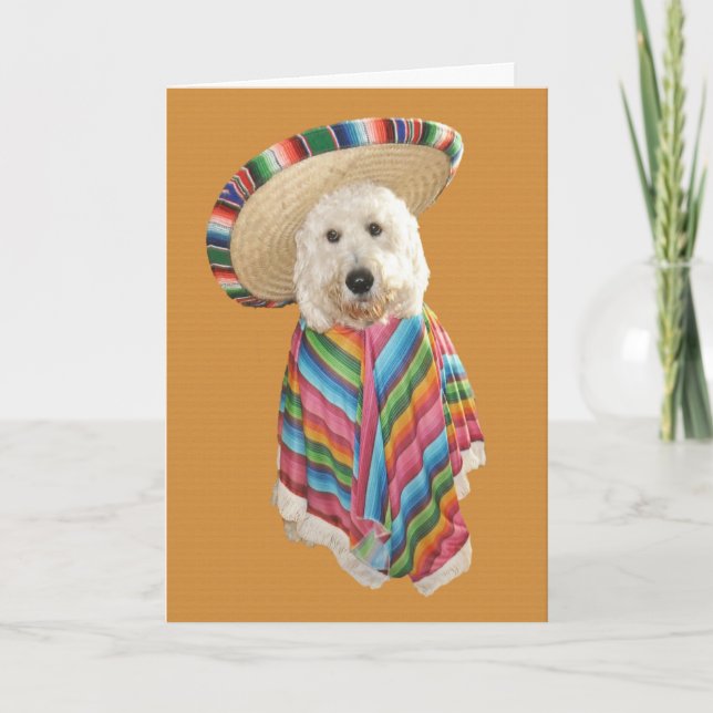 Goldendoodle Cinco Karte Des Mayo (Vorderseite)