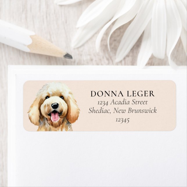 Goldendoodle Dog Personalisierte Adresse (Insitu)