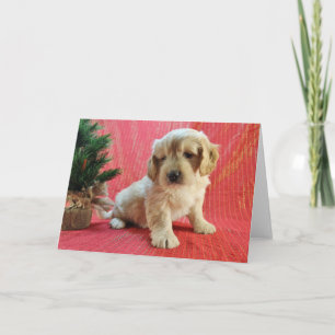 Goldendoodle Feiertags-Karte Feiertagskarte