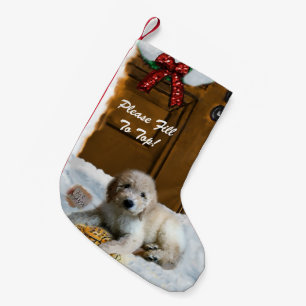 Goldendoodle frohe Weihnachten Kleiner Weihnachtsstrumpf